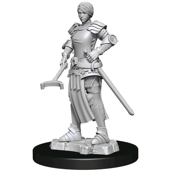 WizKids - Deep Cuts Unpainted Miniatures: Towns People: Castle 2